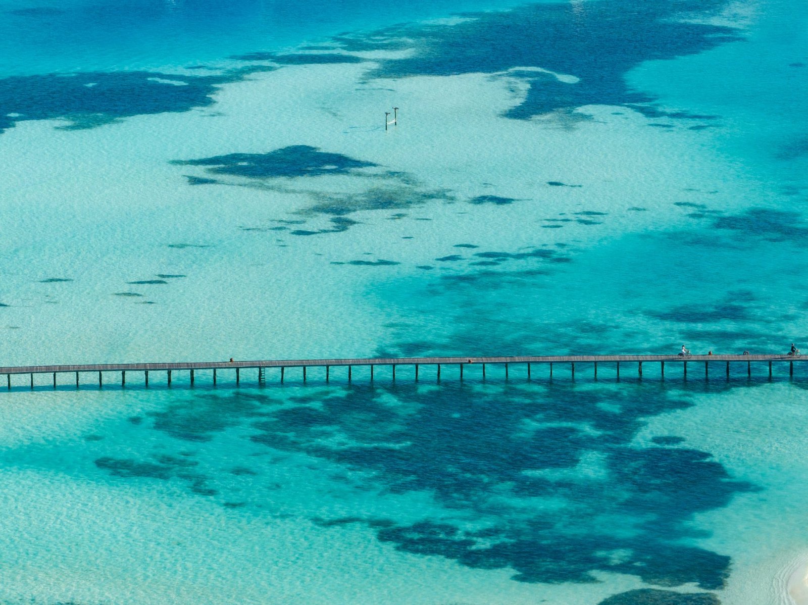 Paradise from above